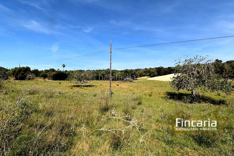 Foto 91395256-b40d-4fbd-bc5c-b3f959b6e0f9. Finca rústica a Sant Llorenç des Cardassar