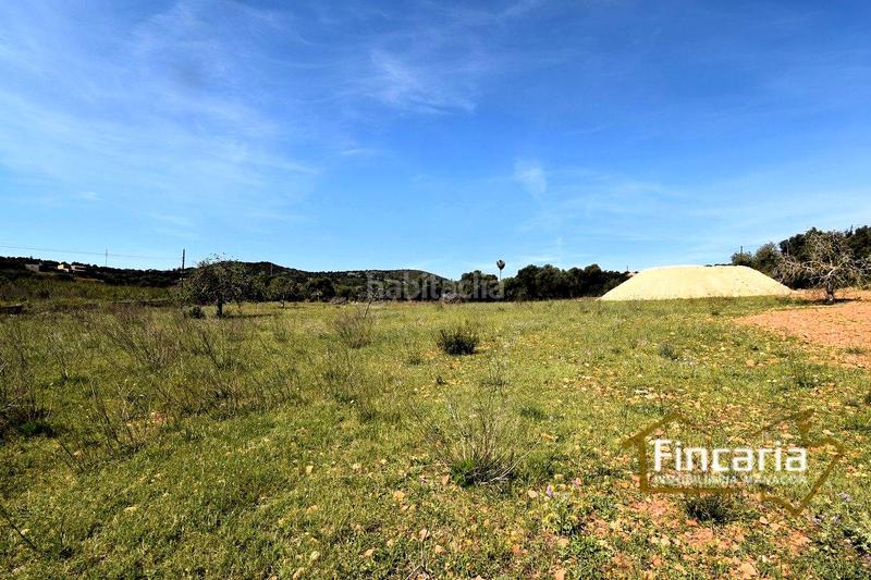 Foto 97d501ad-ae1a-42e5-80cc-bf17f88ed285. Finca rústica a Sant Llorenç des Cardassar