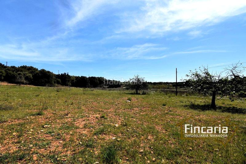 Foto c498aaa2-bca3-4c47-856d-5e483aa57d4e. Finca rústica a Sant Llorenç des Cardassar