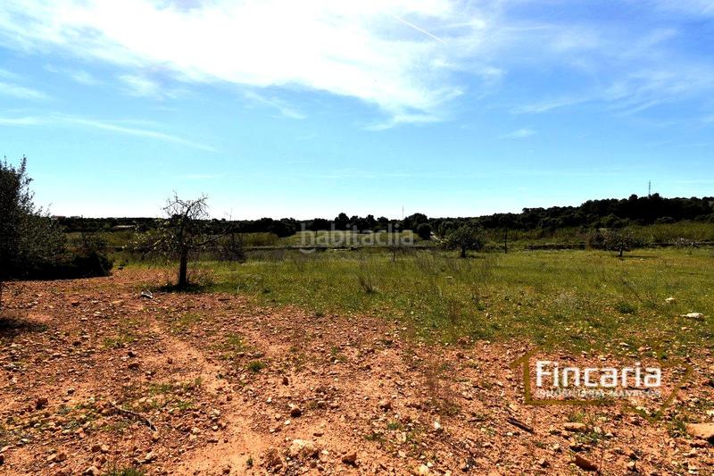 Foto c4ae2e59-3a36-4bcf-84d3-5cab983a6877. Finca rústica a Sant Llorenç des Cardassar