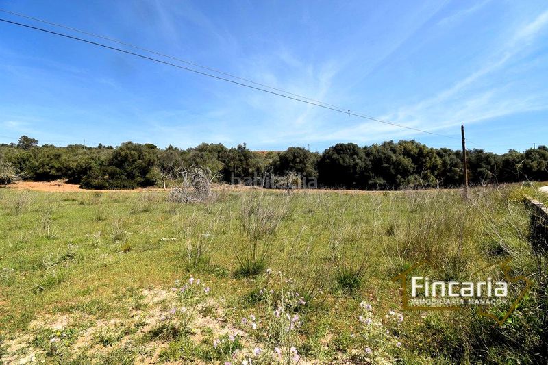 Foto d0445397-f90c-4a38-8808-c9297c07ebf7. Finca rústica a Sant Llorenç des Cardassar