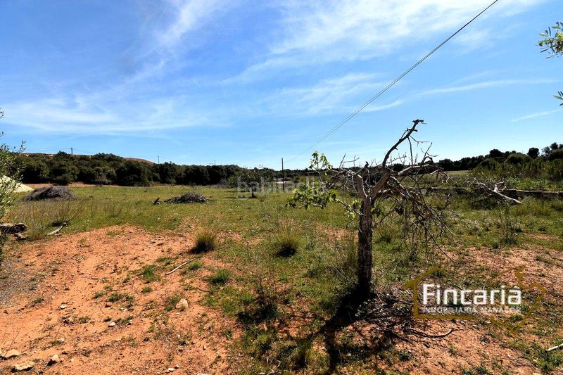 Foto e6bbeeeb-95d5-4df5-b7db-28b02fcfdba9. Finca rústica a Sant Llorenç des Cardassar