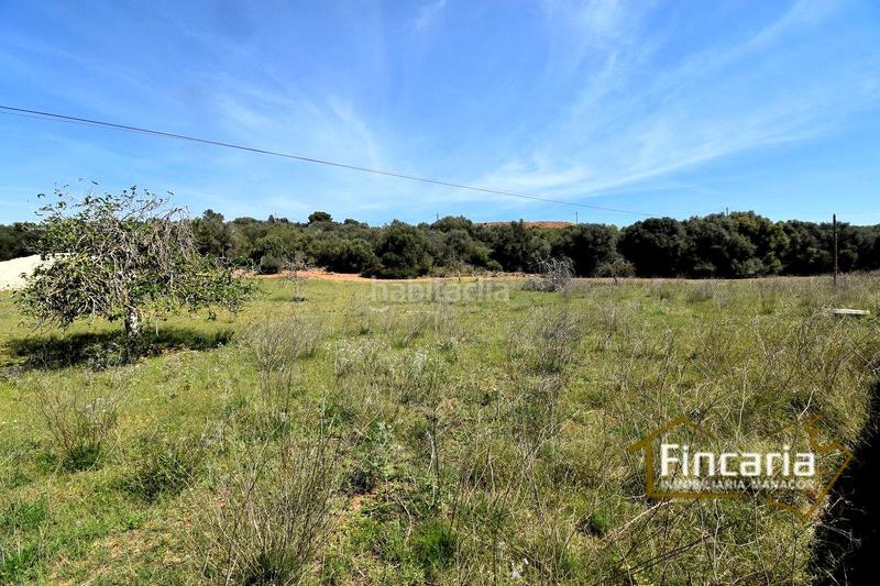 Foto f059d8fb-2681-4047-938d-d11addcf19ce. Finca rústica a Sant Llorenç des Cardassar