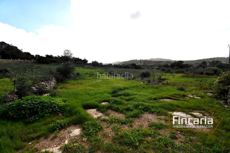 Foto 432ee659-df75-425a-9881-50d295be05b4. Masía venta de casa rústica en son macià en Felanitx poble Felanitx