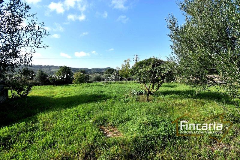 Foto 88a4dfc0-d79b-4f56-9f57-04e58ba13abf. Masía venta de casa rústica en son macià en Felanitx poble Felanitx