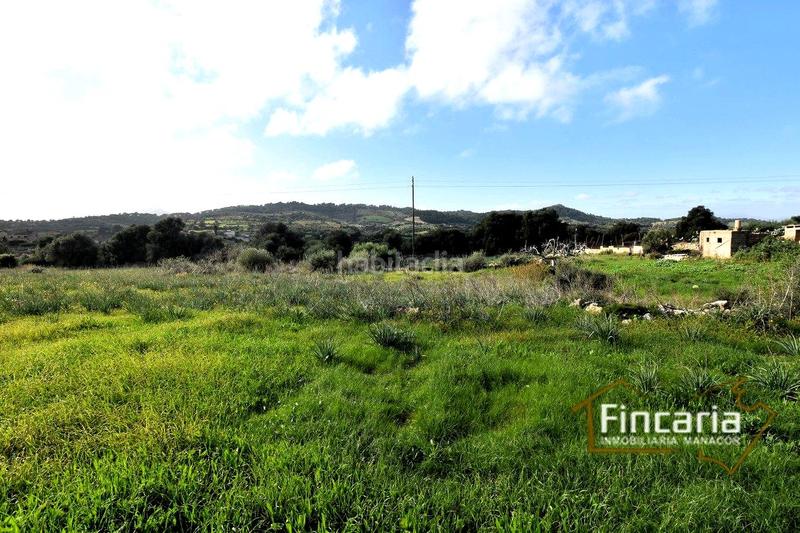 Foto 990c0bf1-6bf4-48fe-bc9d-d9c825058d12. Masía venta de casa rústica en son macià en Felanitx poble Felanitx