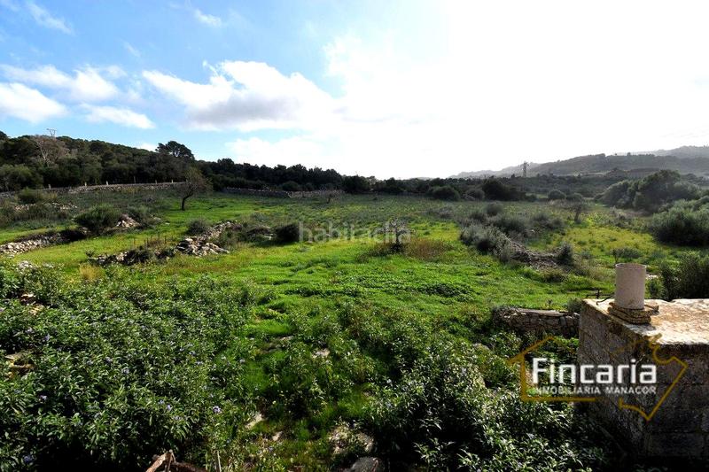 Foto b4faae82-c568-41b6-8dcf-a28370cf59de. Masía venta de casa rústica en son macià en Felanitx poble Felanitx