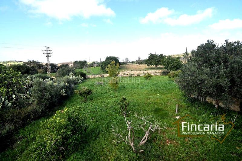 Foto b8c14625-e2a0-4a9b-9bb6-4b19ba604d00. Masía venta de casa rústica en son macià en Felanitx poble Felanitx