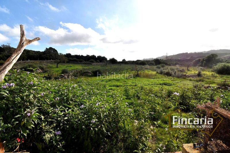Foto dd302136-6f47-4449-968f-5fa4a286fb56. Masía venta de casa rústica en son macià en Felanitx poble Felanitx