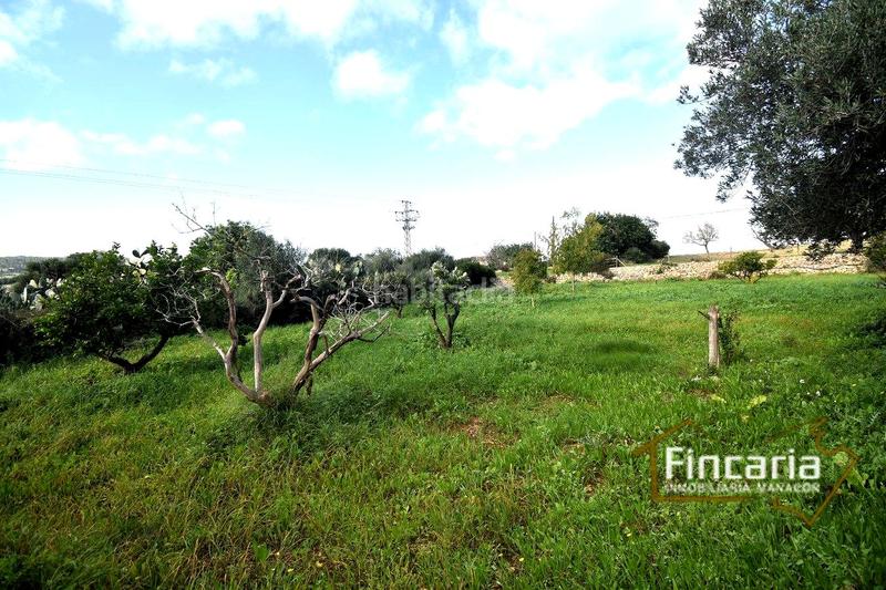 Foto f57eddb1-c845-44f6-9f63-11535ed8eb4a. Masía venta de casa rústica en son macià en Felanitx poble Felanitx