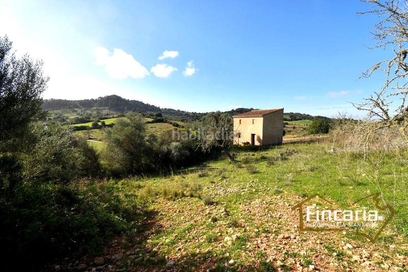 Foto 49fcb9cf-4ead-41a1-a19c-984f2bd06117. Terreny residencial a Manacor centre Manacor