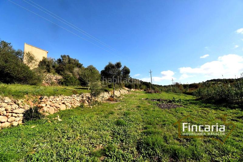 Foto 6eb98538-0f23-4a6f-9723-41854503a645. Terreny residencial a Manacor centre Manacor