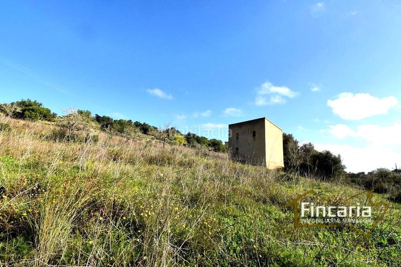 Foto d3a30501-6cdc-4176-9313-a5297493a804. Terreny residencial a Manacor centre Manacor