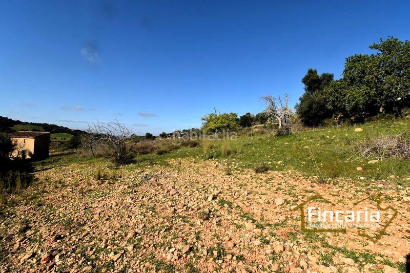 Foto dc564e3f-5b6a-4b20-8f3c-3a921ebb07d2. Terreny residencial a Manacor centre Manacor