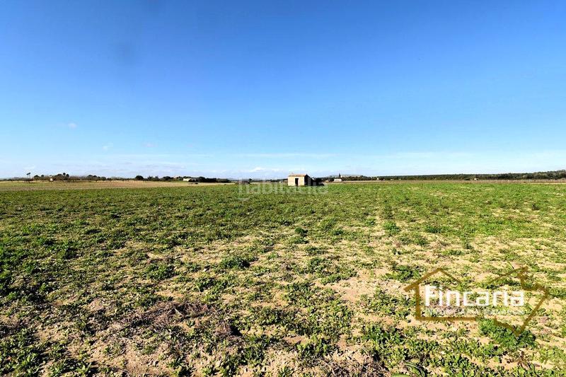 Foto bca3fad5-db19-475d-b9ea-b49c61b3301f. Terrain résidentiel dans Felanitx poble Felanitx