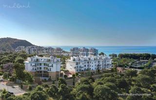 Apartamento en Platja de Torres. Áticos de dos plantas con vistas panorámicas y a 450 metros de l