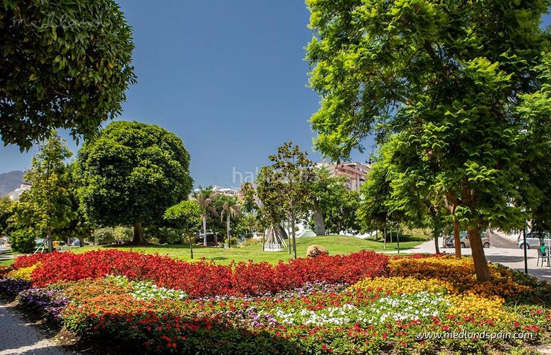 Foto 3746f935-a6df-49cd-9928-270104aadf3c. Apartament amb piscina a Estepona golf Estepona