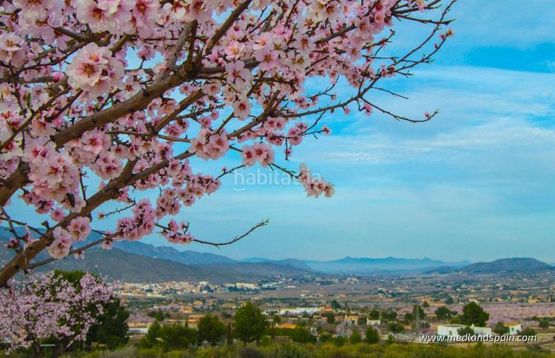 Foto 66ff213e-908c-432e-9f25-8058b88ad71b. Appartement avec piscine dans Hondón de las Nieves