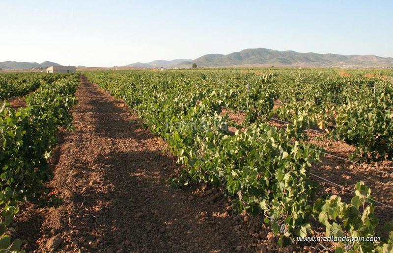 Foto a6f05bf1-754a-46e4-bc10-3176b7a9b7f0. Appartement avec piscine dans Hondón de las Nieves