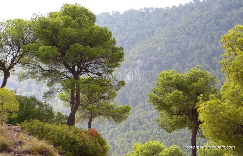 Foto a8b40b19-4e9c-4334-884b-69386faba9d8. Appartement avec piscine dans Hondón de las Nieves