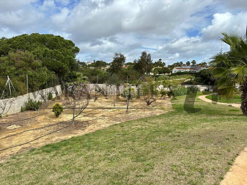 Foto cfd2c0fe-d3da-485e-9acf-44f6088871bb. Xalet amb aparcament piscina a Lepe