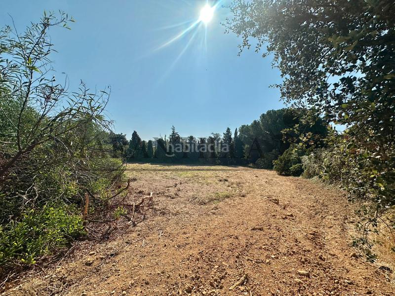 Foto 14cbacf4-152b-4b2c-b851-90412095621e. Landgut in Lepe