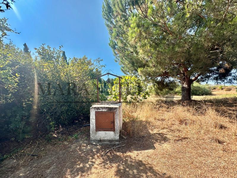 Foto 5e67435a-68df-491a-a227-572541ddc3e5. Landgut in Lepe