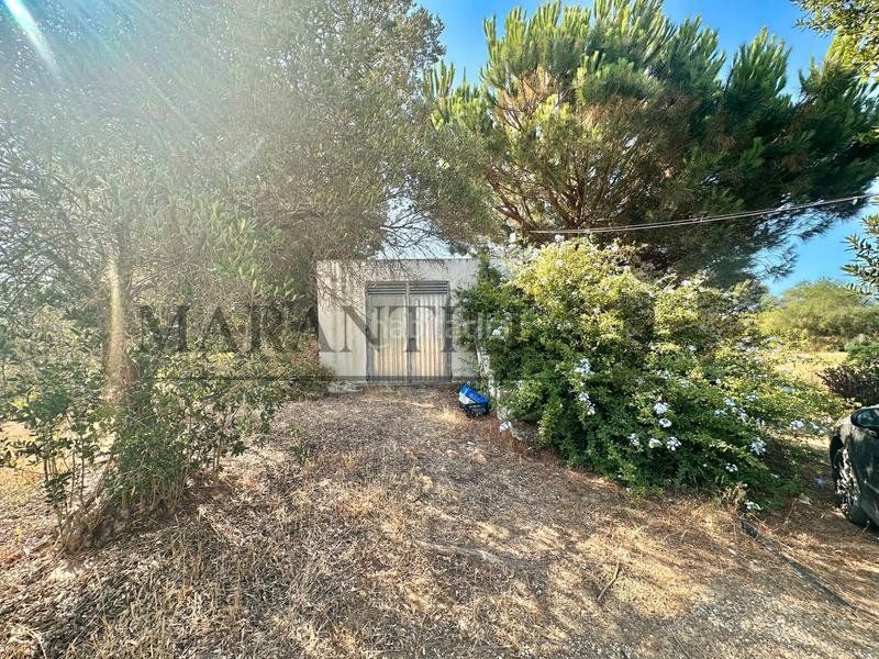 Foto 8076fa8d-4e3f-479b-bb34-5460d948cf14. Landgut in Lepe