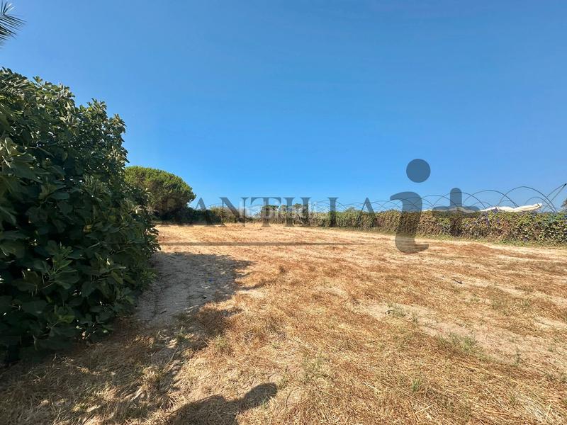 Foto 888489f2-ae3b-40ad-9f02-111b2a1cbfad. Landgut in Lepe