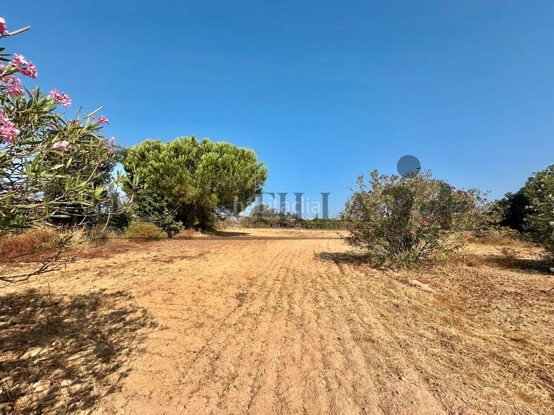 Foto 9361569d-6a85-4ed7-9312-694ec28ca929. Landgut in Lepe