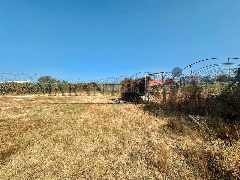 Foto ab26482d-d8c3-4d1b-908d-18e8a097fc46. Landgut in Lepe