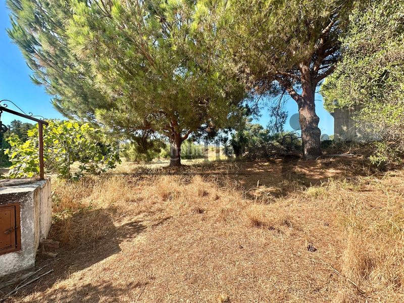 Foto e5a33492-ece8-48ee-be1f-294a3206ea33. Landgut in Lepe