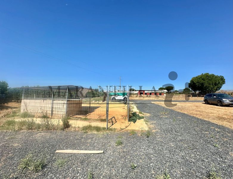Foto 44f16b4f-2408-463b-833e-dbe637fff163. Finca rústica a Lepe