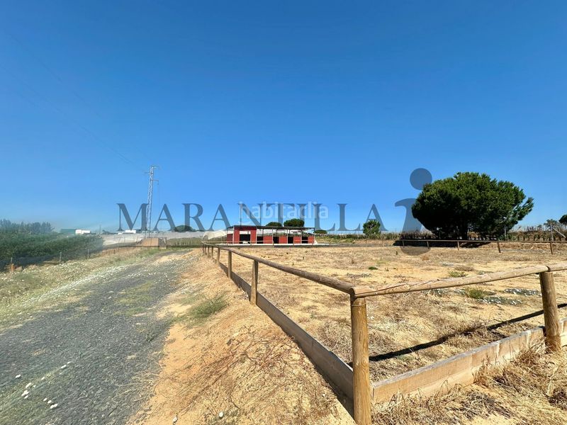 Foto 6d70f522-a72f-4ba6-9744-b1302833b742. Finca rústica a Lepe