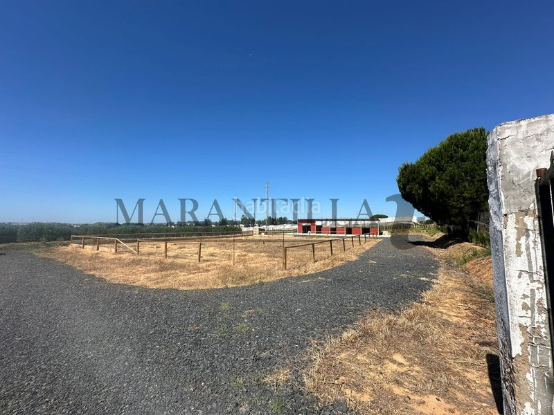 Foto 7d3ae419-375e-4788-b4bd-578ba7632e52. Finca rústica a Lepe