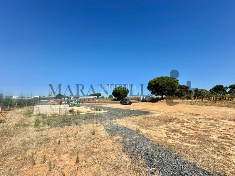 Foto a65a6dd0-b051-4d61-a085-91c51d11695e. Finca rústica a Lepe