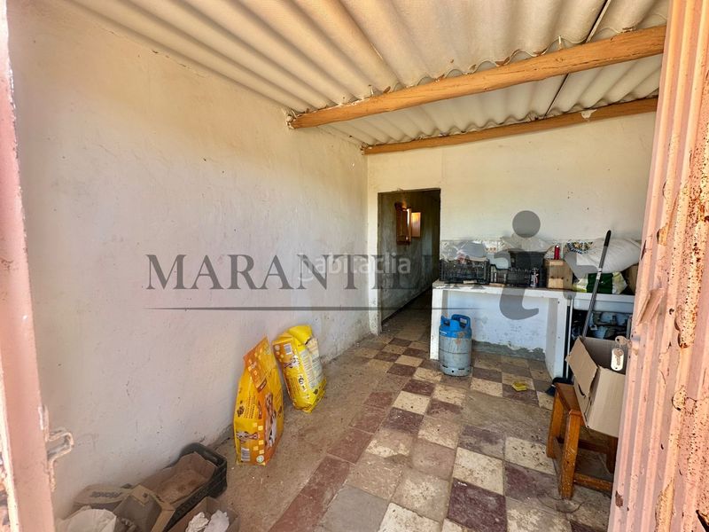 Foto a8fe3f07-d5bc-471d-a3d8-8efefdac7dff. Finca rústica a Lepe