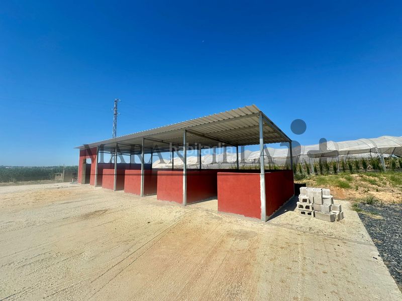 Foto ea9e58ed-33d4-4140-99ea-361e77fa765b. Finca rústica a Lepe