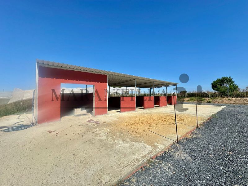 Foto f0fab281-b90c-4f08-8990-b9ac87d48bda. Finca rústica a Lepe