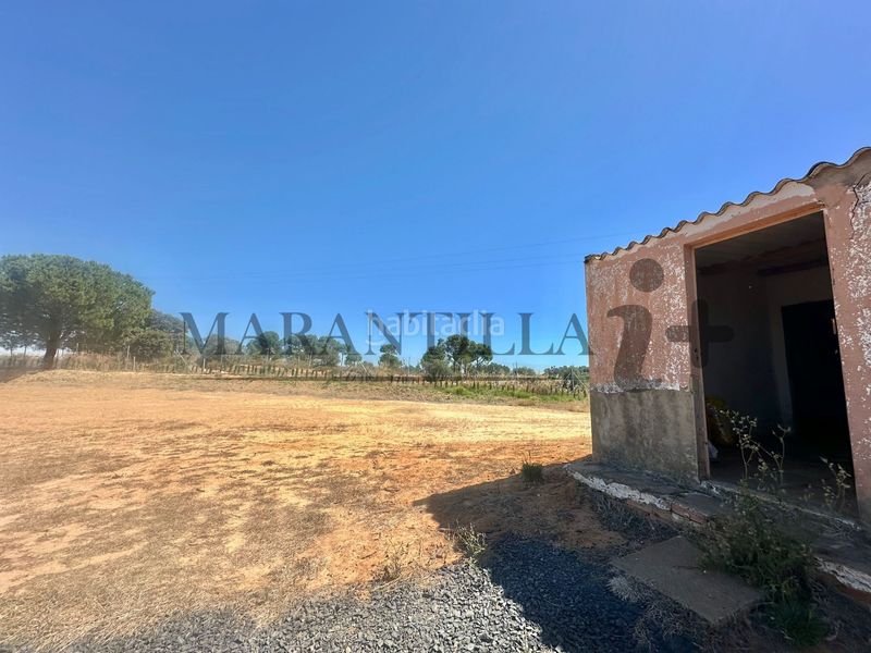 Foto f83553d0-608a-43f8-9199-04cee3a38c07. Finca rústica a Lepe