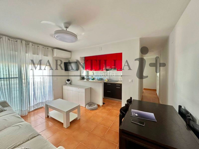Foto e7b9638d-9925-4fc5-916f-fb2fe2e3c612. Pis a La Antilla