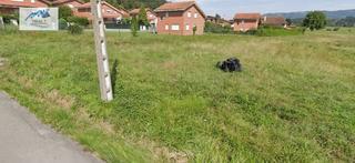 Casa  Cerro(el). Venta de casa en rasines, cantabria.