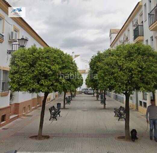 Foto 0096bce8-258b-445a-8cd2-187096665f6c. Pis a Cartaya