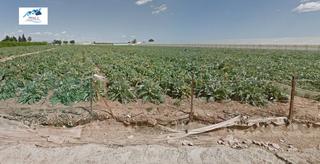 Finca rústica  Calle de polígono s-manga. Venta terreno rural san javier  murcia