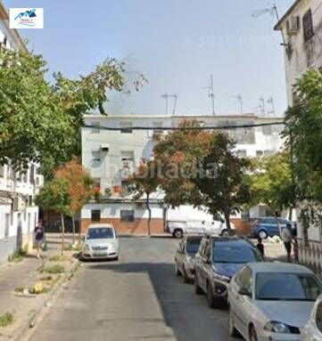 Foto d0460131-f7b8-4e35-a7a7-dce3a92524a4. Pis a Torreblanca Sevilla