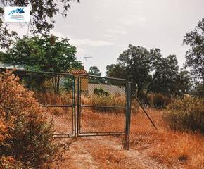 Finca rústica  Diseminado mestanza. Venta de residencial en diseminado mestanza ciudad real