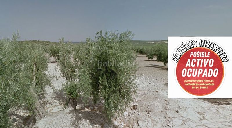 Foto 9ef058e9-6f01-4ddf-a469-85f3794e2321. Finca rústica a Torredonjimeno