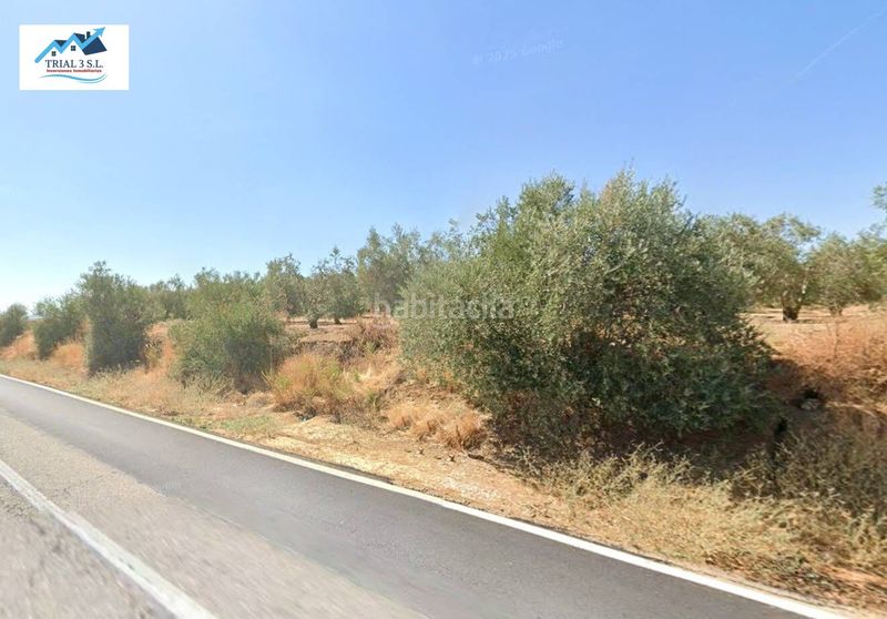 Foto d37327c4-1c22-4351-ae11-912461882a48. Finca rústica venta de 8 terrenos . en Marchena