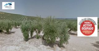 Finca rústica  Camino de torredonjimeno. Venta de finca rústica en  torredonjimeno jaén