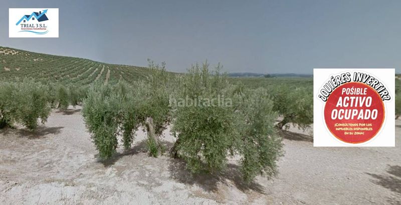 Foto a69fab15-2c0c-4b20-9336-339a3676e2ba. Finca rústica a Torredonjimeno